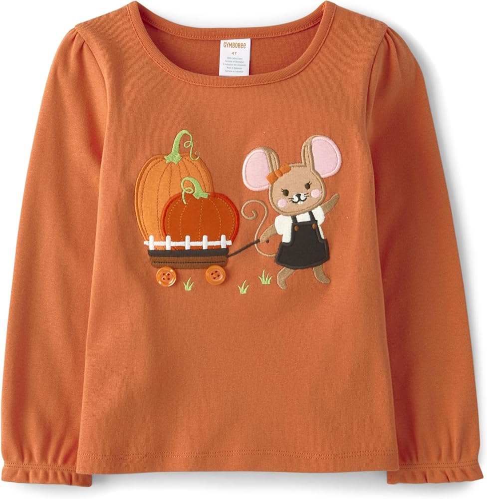 Gymboree Girls' and Toddler Embroidered Graphic Long Sleeve T-Shirts