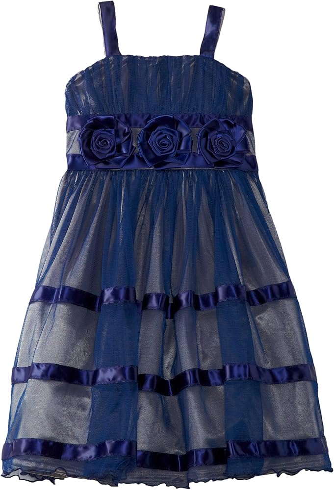 Bonnie Jean Big Girls' Sheer Ribbon Trim Dress