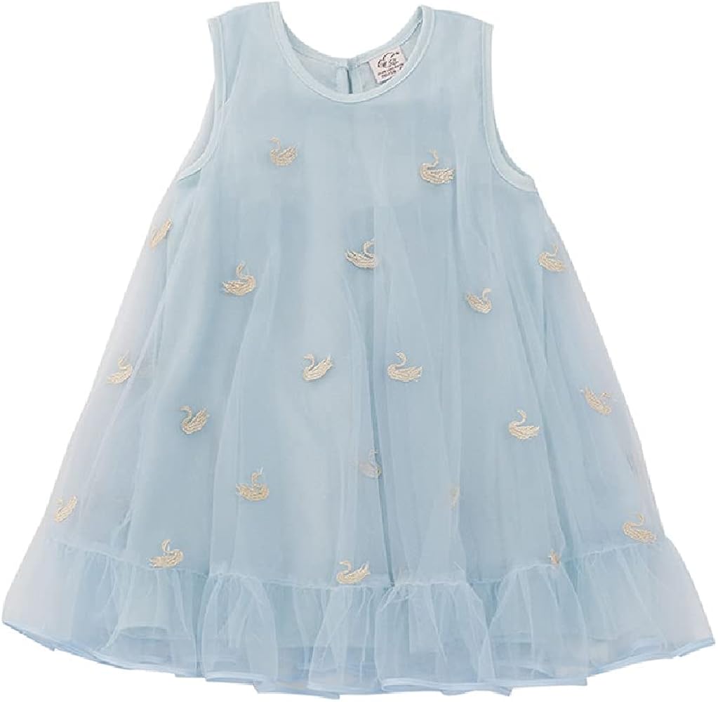 Quenny New Summer Foreign Floral Dresses,Girls' high Waist mesh Thin Princess Dresses. (Light Blue, s)