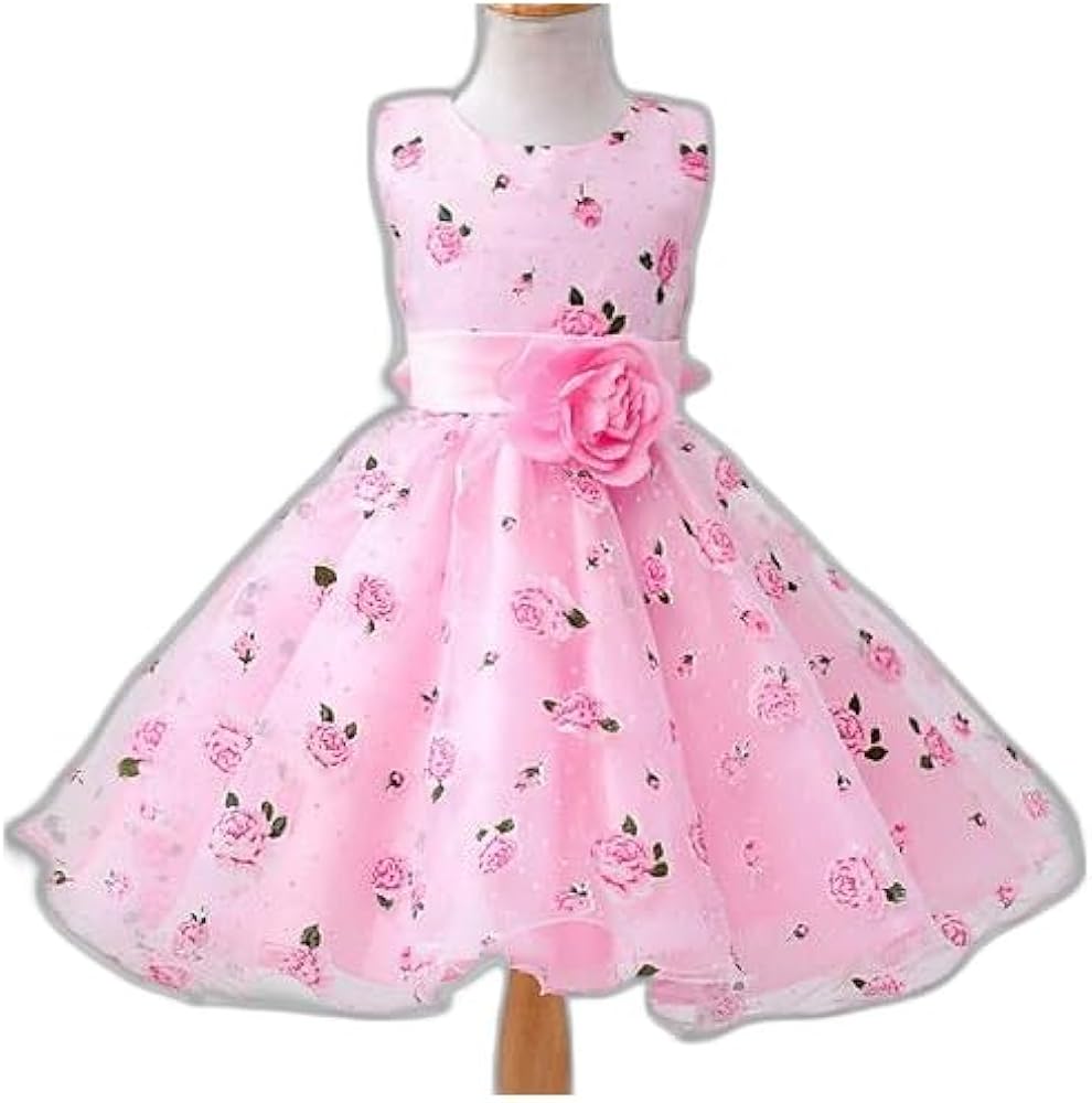 Kids Little Girls' Dress Floral Party Print Princess Tulle Dress FlowerPegeant Layered