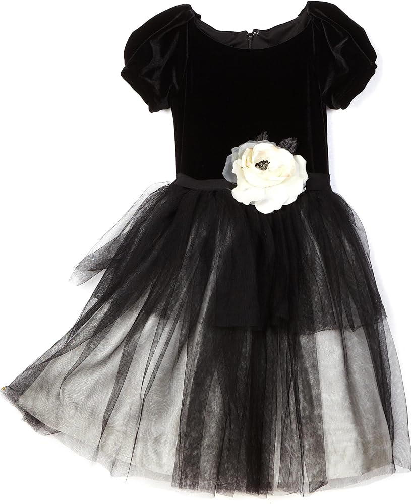 Girls 2-6x Ballerina Inspired Toddler Tulle Dress