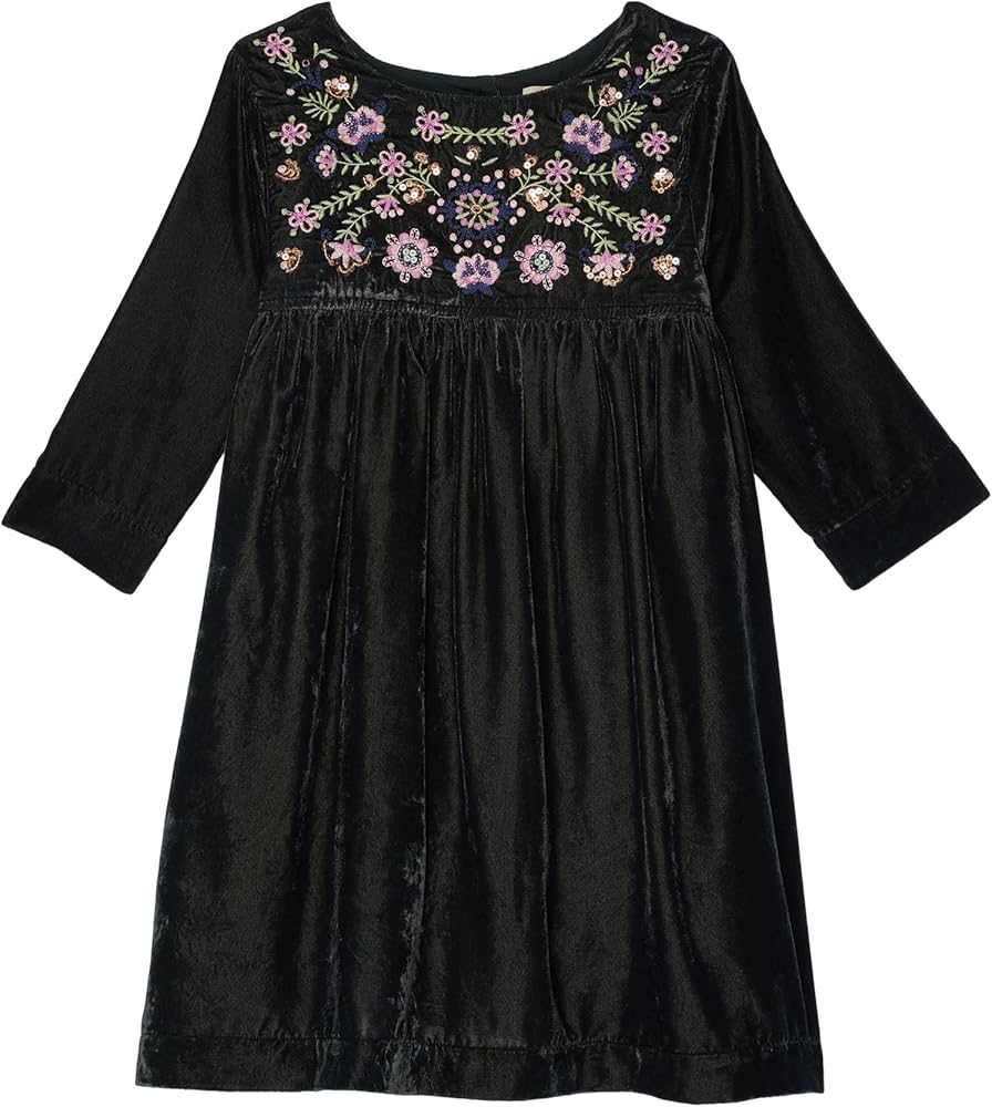 PEEK Girl's Embroidered Velvet Dress (Toddler/Little Kids/Big Kids)